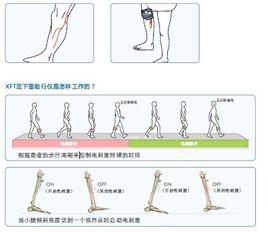 XFT-2001足下垂助行儀 XFT-2001足下垂助行儀