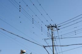 本徵擊穿 本徵擊穿