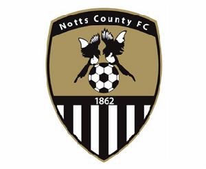 官方發布的最新隊徽