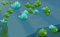 小魚快長 小魚快長