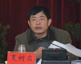 夏樹應 夏樹應