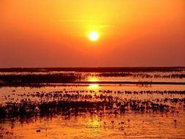 吉利黃河濕地保護區 吉利黃河濕地保護區