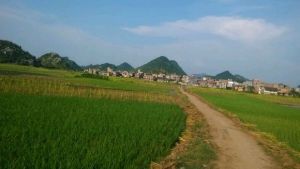 新田縣石羊鎮 新田縣石羊鎮