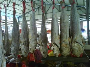 （圖）鹹魚[食品]