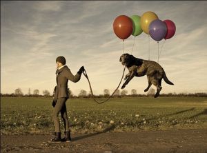 似曾相識的場景