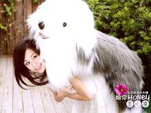 王心凌《Honey》