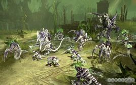 泰倫蟲族 泰倫蟲族