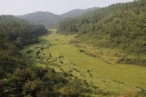 洋嘎丁自然村 洋嘎丁自然村