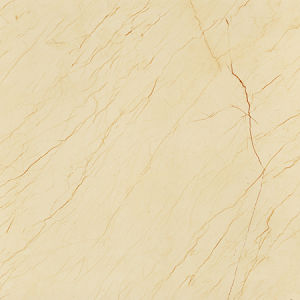 索菲特金---X1SD802005