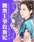 腹黑王爺狡猾妃 腹黑王爺狡猾妃