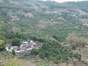 上麥莊自然村 上麥莊自然村