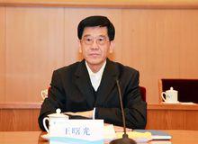 王曙光[第十一屆全國政協人資委副主任]