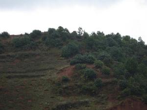 小丫口二社村山地