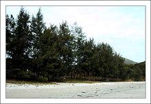 千奇百怪的不解之謎