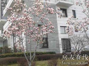 金玉山莊 金玉山莊