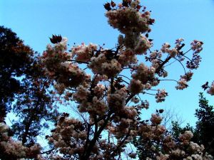 泰安市經濟開發區