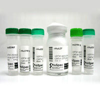 胺基酸氧化酶 胺基酸氧化酶