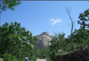 蓮花山森林公園