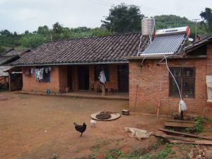 大樹角村 大樹角村