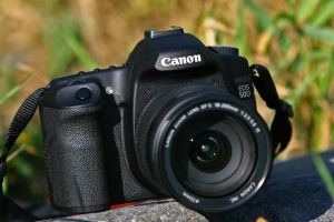 佳能EOS 50D 佳能EOS 50D