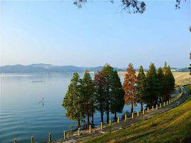 鳳凰湖[四川省成都市鳳凰湖]