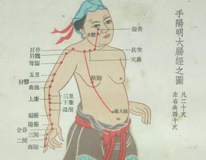手陽明大腸經