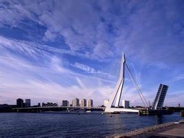 鹿特丹商學院 鹿特丹商學院