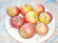 承德國光蘋果 承德國光蘋果