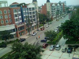 美洲花園 美洲花園