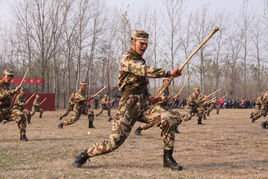 應急棍術 應急棍術