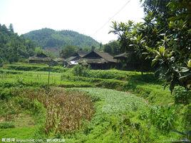 文家坊村 文家坊村