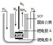 合成氨原電池
