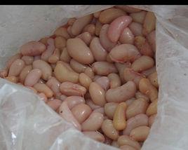 雞睪丸湯 雞睪丸湯