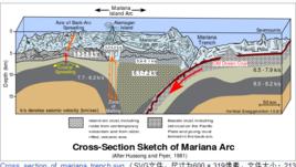 馬里亞納板塊 馬里亞納板塊