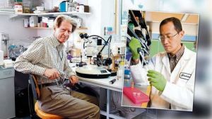 自血回輸ATP細胞療法 自血回輸ATP細胞療法