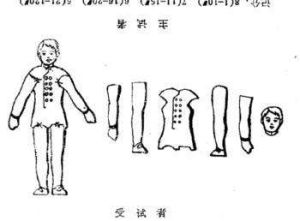 韋氏智力測試 韋氏智力測試