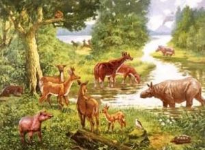 山旺生物群 山旺生物群