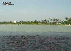 飛天山天下十八泉 景區