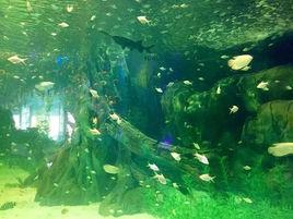 海水成分 海水成分