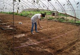 土壤消毒 土壤消毒