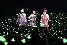 三葉草[S.H.E冬粉通稱]