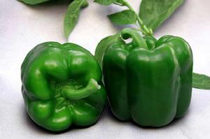 甜椒種子 甜椒種子