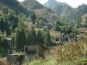 從莊自然村 從莊自然村