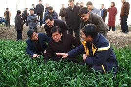 長江農場 長江農場