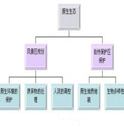 斑塊[景觀學名詞]