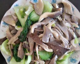 蘑菇油菜 蘑菇油菜