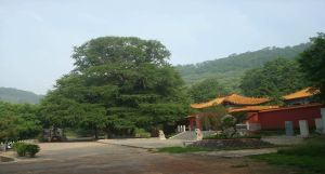 石埠子鎮 石埠子鎮