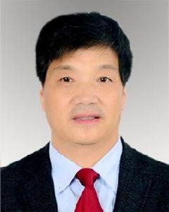 陳志芳[金華市磐安縣安文鎮黨委副書記]