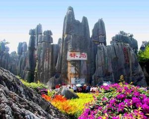 乃古石林 乃古石林