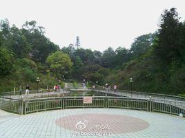 博羅東山省級森林公園 博羅東山省級森林公園